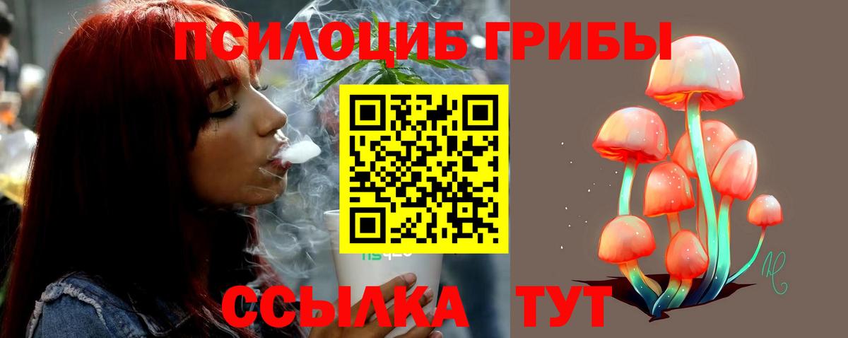 Галлюциногенные грибы MAGIC MUSHROOMS  Вход с VPN  Домодедово 